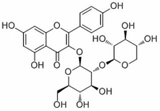 山奈酚3-O-桑布双糖苷，分析标准品,HPLC≥98%