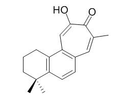 鼠尾草酚酮，分析标准品,HPLC≥95%