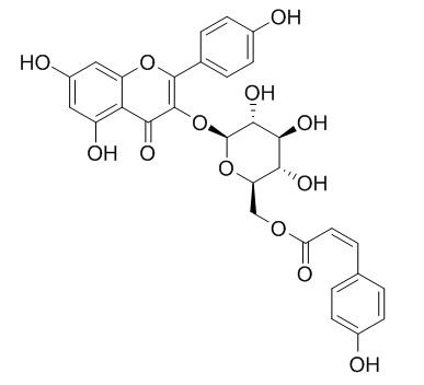 山奈酚-3-O-(6''-O-顺-香豆酰基)葡萄糖苷，分析标准品,HPLC≥95%