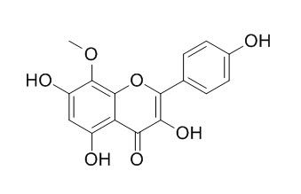 8-甲氧基山奈酚; 8-甲氧基莰非醇，分析标准品,HPLC≥95%