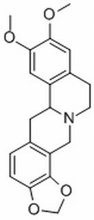 四氢表小檗碱，分析标准品,HPLC≥98%
