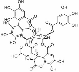 诃子鞣酸，分析标准品,HPLC≥95%