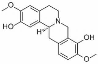 金黄紫堇碱，分析标准品,HPLC≥98%