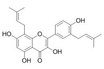 楮树黄酮醇F，分析标准品,HPLC≥95%