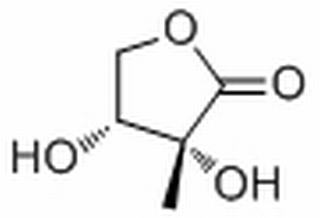 2-C-Methyl-D-erythrono-1,4-lactone，分析标准品,HPLC≥98%