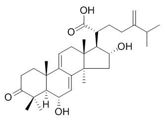 6α-羟基猪苓酸C，分析标准品,HPLC≥95%
