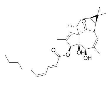 3-O-(2'E,4'Z-癸二烯酰基)-20-去氧巨大戟萜醇，分析标准品,HPLC≥95%
