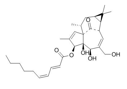 3-O-(2'E,4'Z-癸二烯酰基)巨大戟二萜醇，分析标准品,HPLC≥95%