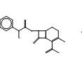 头孢羟氨苄，化学对照品(100mg)