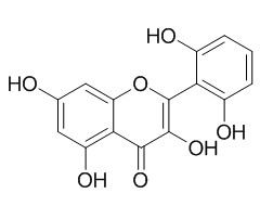 粘毛黄芩素I，分析标准品,HPLC≥95%