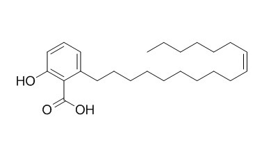 银杏酸C17:1，分析标准品,HPLC≥98%