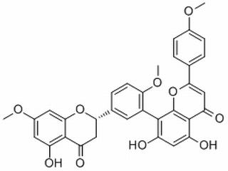 2,3-Dihydrosciadopitysin，分析标准品,HPLC≥98%