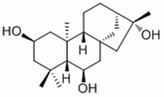 2,6,16-Kauranetriol，分析标准品,HPLC≥98%