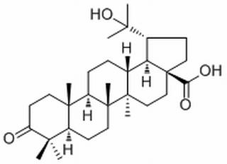 20-Hydroxy-3-oxolupan-28-oic acid，分析标准品,HPLC≥98%