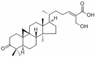 27-Hydroxymangiferonic acid，分析标准品,HPLC≥98%