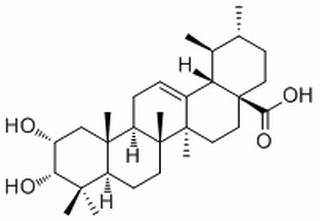 3-Epicorosolic acid，分析标准品,HPLC≥98%