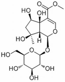 6β-Hydroxyipolamiide，分析标准品,HPLC≥98%