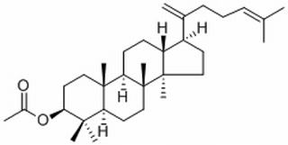达玛二烯醇乙酸酯，分析标准品,HPLC≥98%