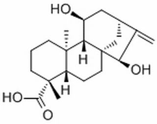 11,15-二羟基-16-贝壳杉烯-19-酸，分析标准品,HPLC≥98%