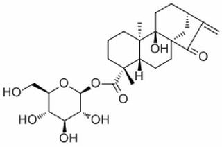 beta-D-吡喃葡萄糖等效-9-羟基-15-氧代-16-贝壳杉烯-19-酸酯，分析标准品,HPLC≥98%