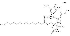 佛波醇12-十四酸酯13-乙酸酯，分析标准品,HPLC≥98%
