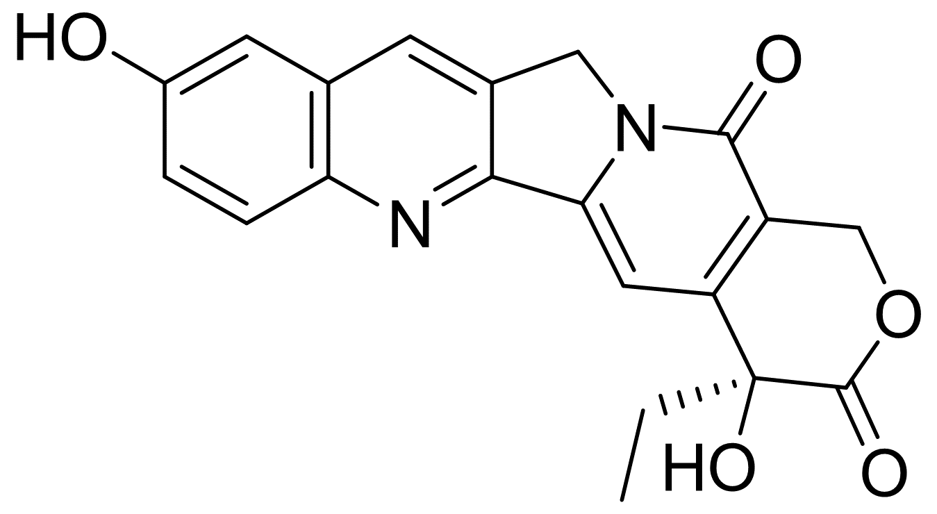 10-(±)羟基喜树碱，分析标准品,HPLC≥98%