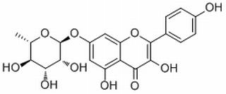 Kaempferol 7-O-rhamnoside，分析标准品,HPLC≥98%