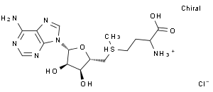 S-(5'-腺苷基)-L-氯化蛋氨酸，分析标准品,HPLC≥98%