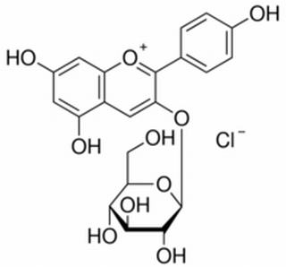 天竺葵素-3-氯化葡萄糖苷，分析标准品,HPLC≥95%