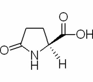 L-焦谷氨酸，分析标准品,HPLC≥98%