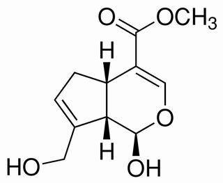 科罗索酸，分析标准品,HPLC≥98%