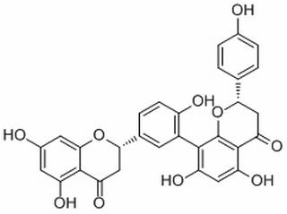 Tetrahydroamentoflavone，分析标准品,HPLC≥98%