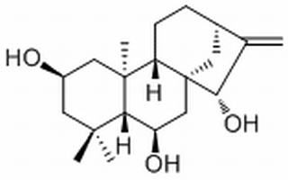16-贝壳杉烯-2,6,15-三醇，分析标准品,HPLC≥98%