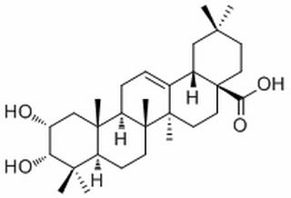 2,3-二羟基-12-齐墩果烯-28-酸，分析标准品,HPLC≥98%