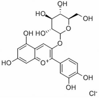 矢车菊素-3-O-葡萄糖苷，分析标准品,HPLC≥95%