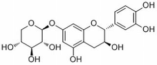 7-木糖苷儿茶酚，分析标准品,HPLC≥98%