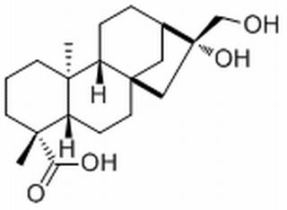 等效-16beta,17-二羟基-19-异贝壳杉烷酸，分析标准品,HPLC≥98%