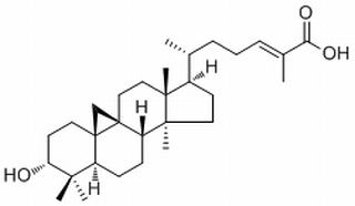 Isomangiferolic acid，分析标准品,HPLC≥98%