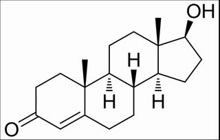 睾酮，分析标准品,HPLC≥98%