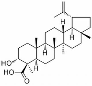 Lupeolic acid，分析标准品,HPLC≥98%