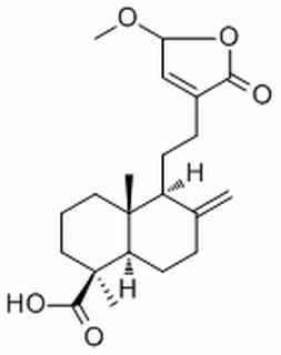 15-甲氧基松柏酸，分析标准品,HPLC≥98%