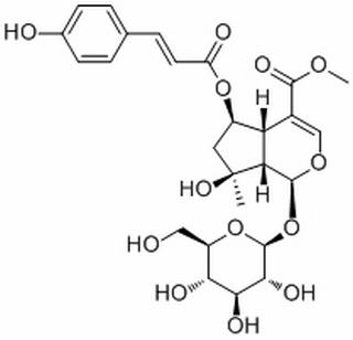 6-O-trans-p-Coumaroylshanzhiside methyl ester，分析标准品,HPLC≥98%