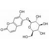 秦皮甲素，化学对照品(20mg)