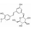 土大黄苷，化学对照品(约20 mg)