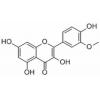 异鼠李素，化学对照品(20mg)
