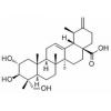 Actinidic acid,分析标准品,HPLC≥98%