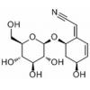 蝙蝠葛氰苷，分析标准品,HPLC≥98%
