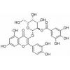 2”-O-没食子酰基金丝桃苷，化学对照品(20mg)