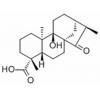 等效-9-羟基-15-氧代-19-异贝壳杉烷酸，分析标准品,HPLC≥98%