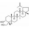 Lup-20(29)-ene-3α,23-diol，分析标准品,HPLC≥98%